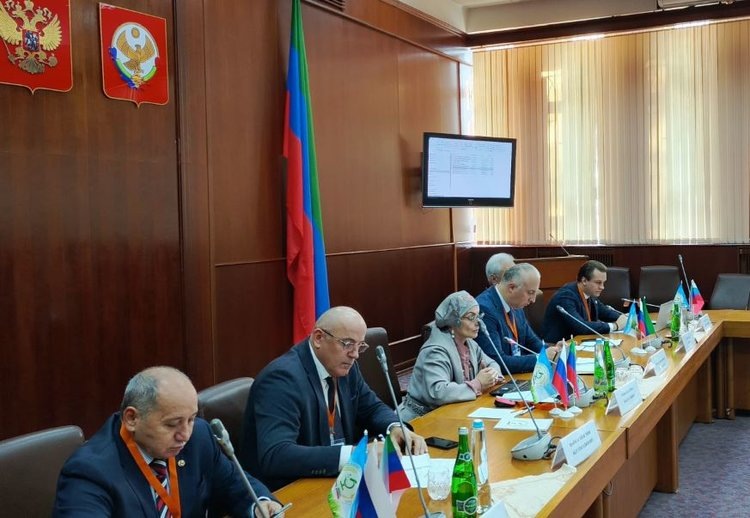    Международная конференция по верблюдоводству открылась в Дагестане