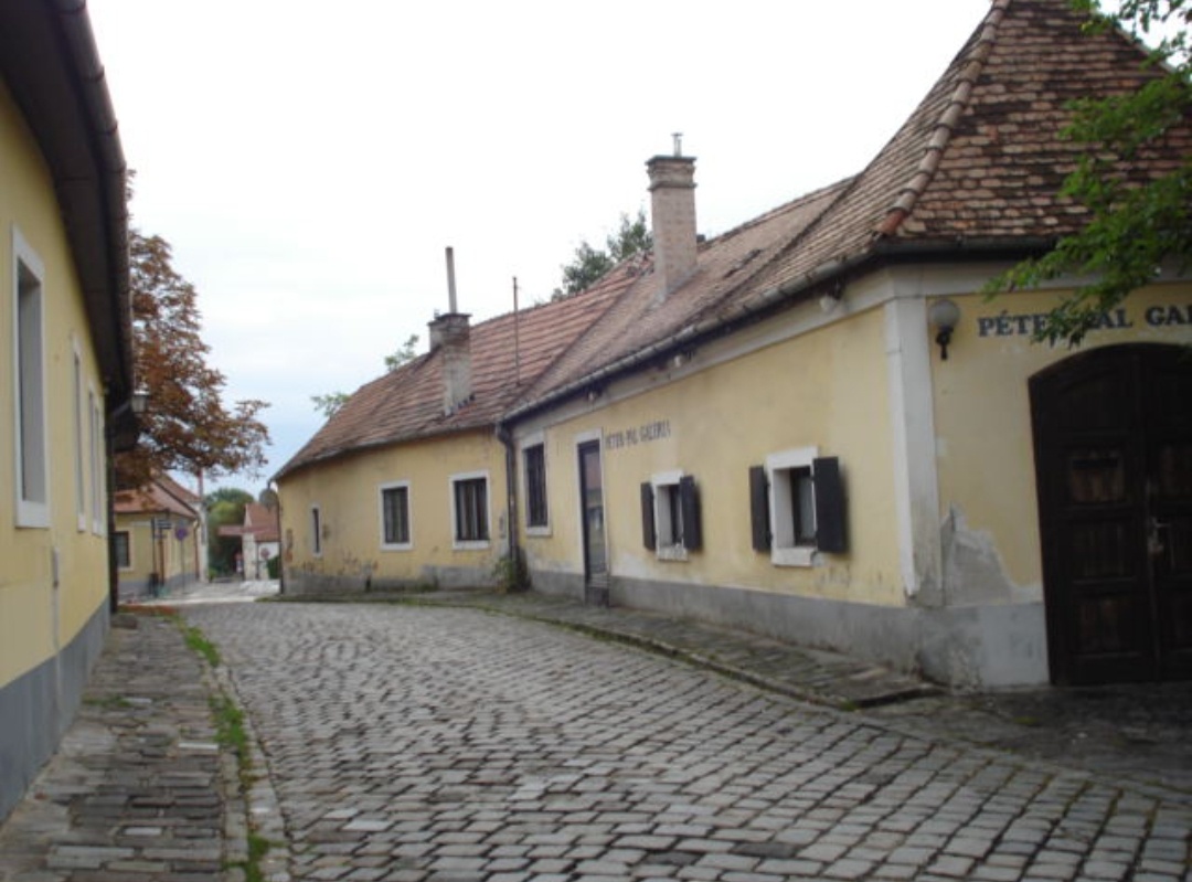 Фото автора.