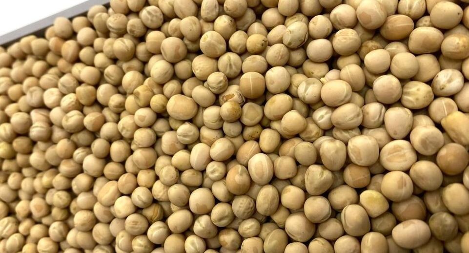    Пресс-служба Министерства сельского хозяйства и продовольствия Московской области