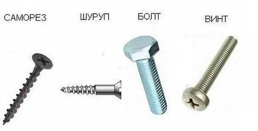 Отличия шурупа от самореза