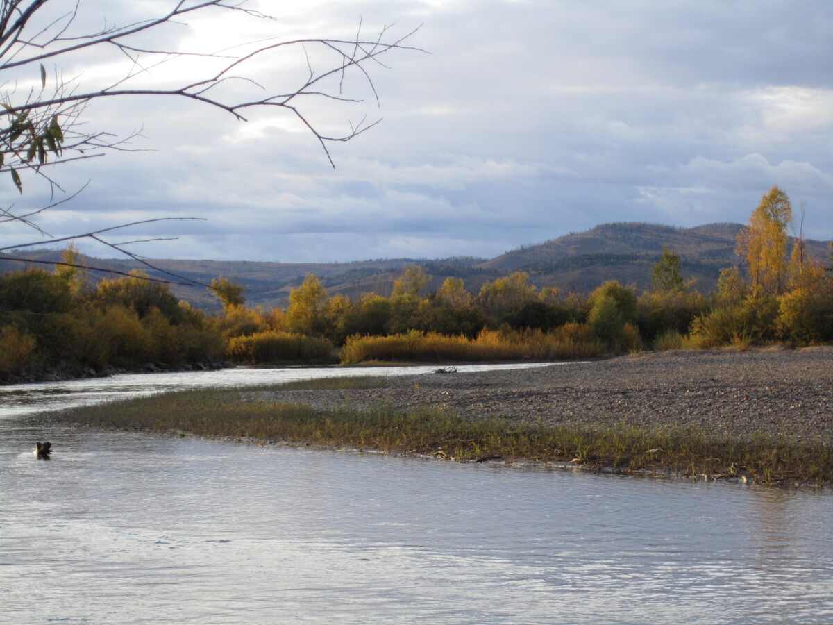 Рядом речка Читинка. Быстрая, горная. Хариусы водились.