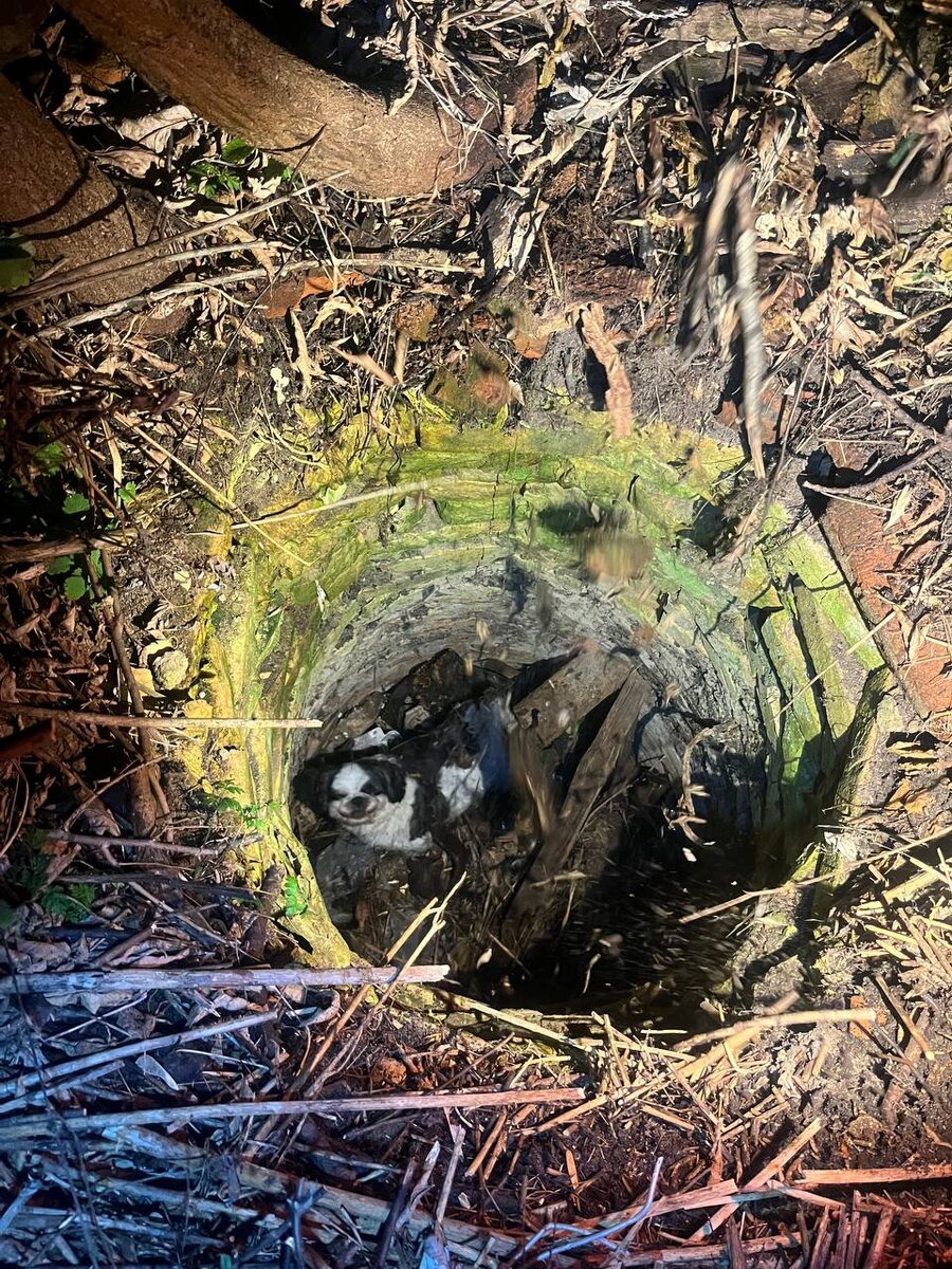 ГКУ МО "Мособлпожспас"