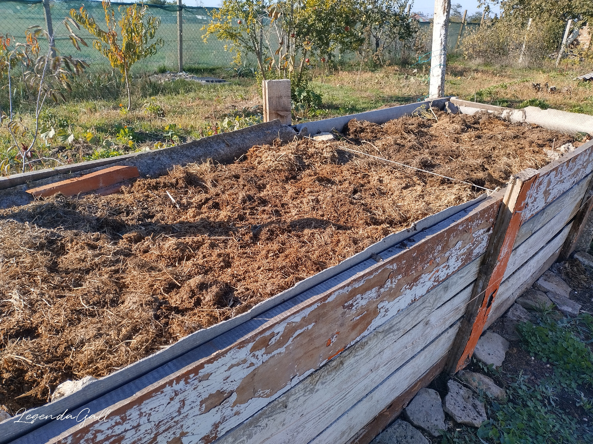 Чистота - залог здоровья! ))