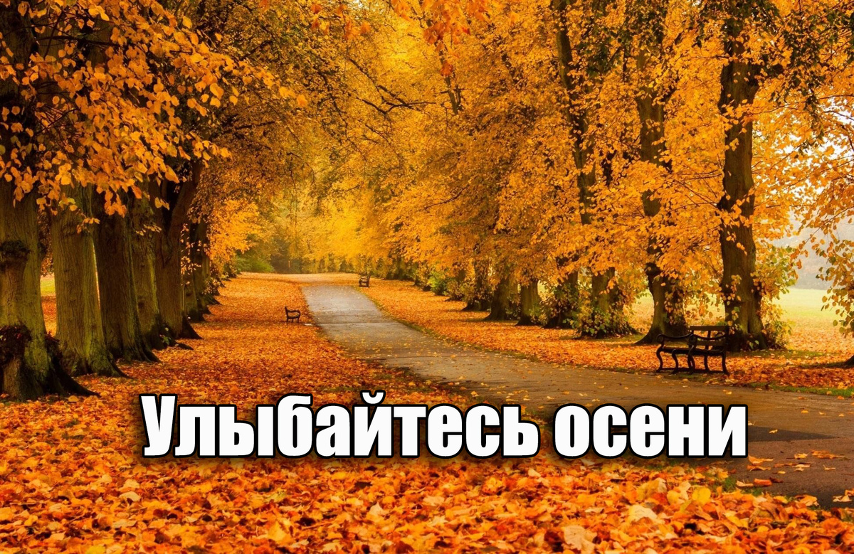 Осень