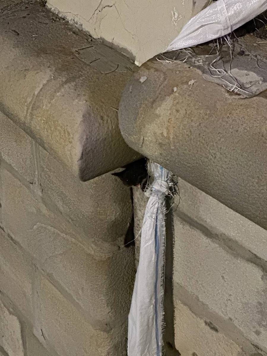 Фото: https://t.me/spasrezerv