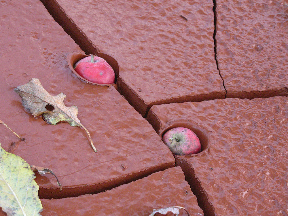 Яблоки, упавшие в красный шлам