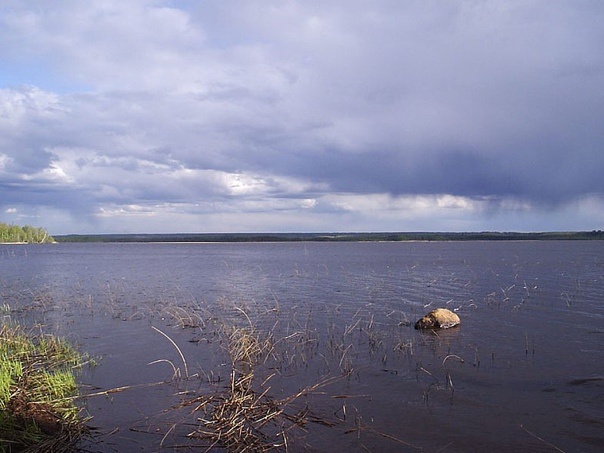 Лубенское озеро. Фото из паблика ВК "Граждане города Сосновый Бор" 