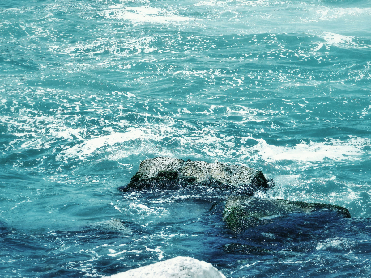 Картинка с бесплатного фотостока https://unsplash.com, автор Sarah Abdelaziz