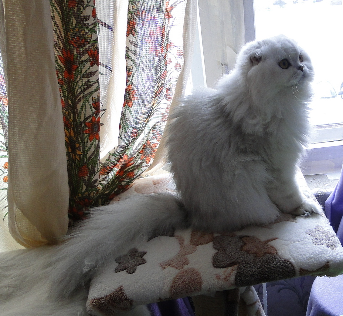 Фото из личного архива