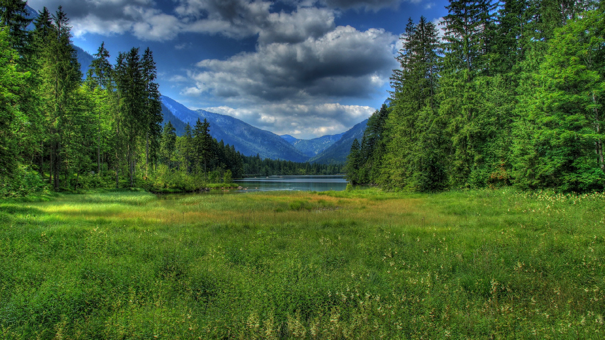 Яндекс. Картинки