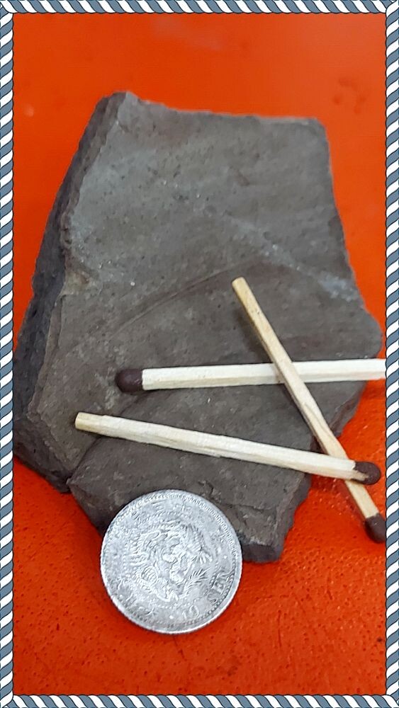 Для сравнения зрителю можно понять, какого размера найденная монета