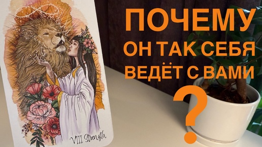 Почему он так себя ведёт с вами?