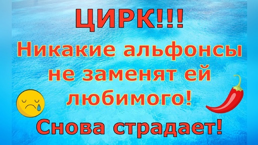 Деревенский дневник очень многодетной мамы \ ЦИРК!!! Снова страдает! \ Обзор