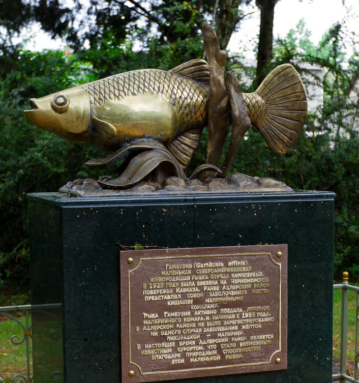 Памятник в Сочи