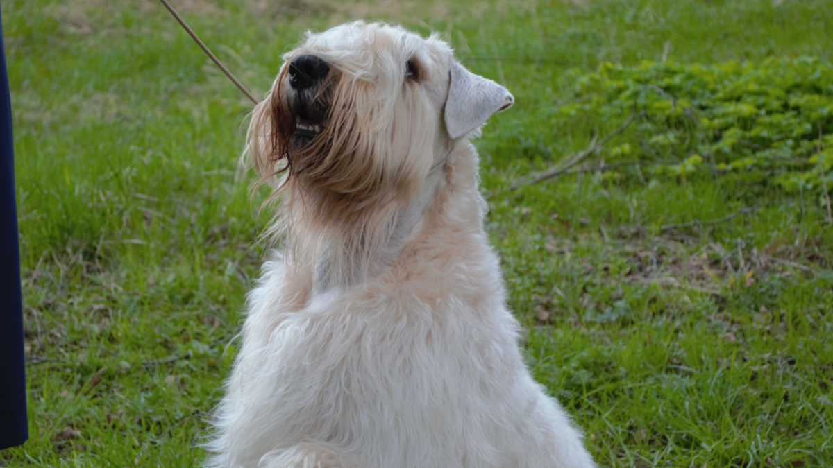 ИА «Тульская пресса»📷
