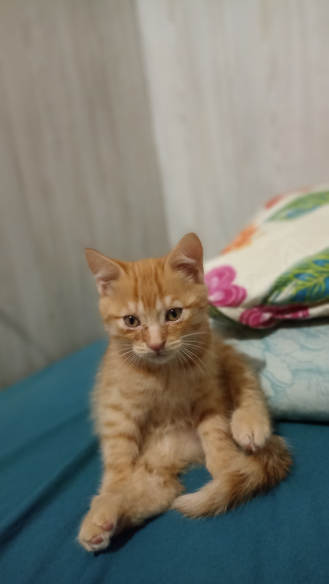 А он приходит ко мне