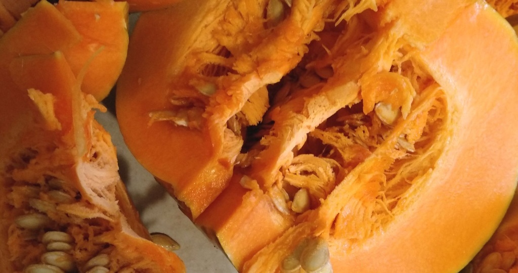 Как собрать свои семена тыквы и кабачков. Задача “со звездочкой”