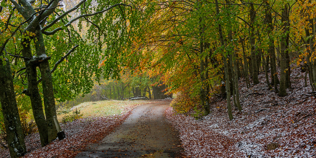 Первый снег в Крыму. Романовское шоссе. Из яркой осени в зимнюю сказку. Приключение одного дня.