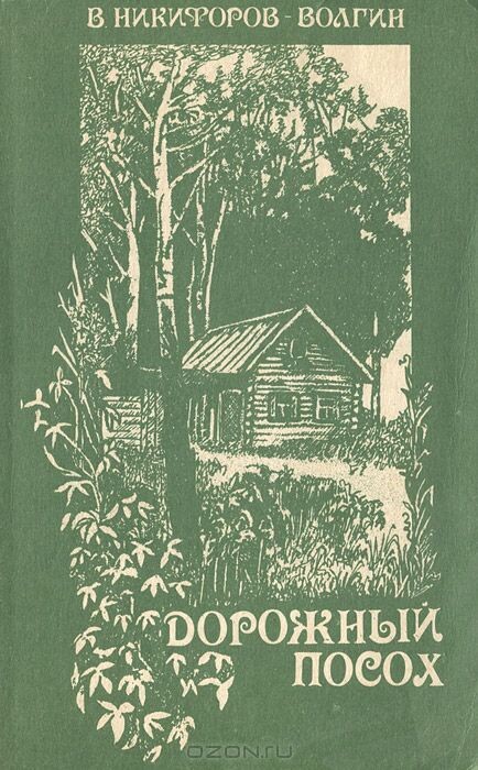     С дорожным посохом в руке по выдуманной дороге жизни