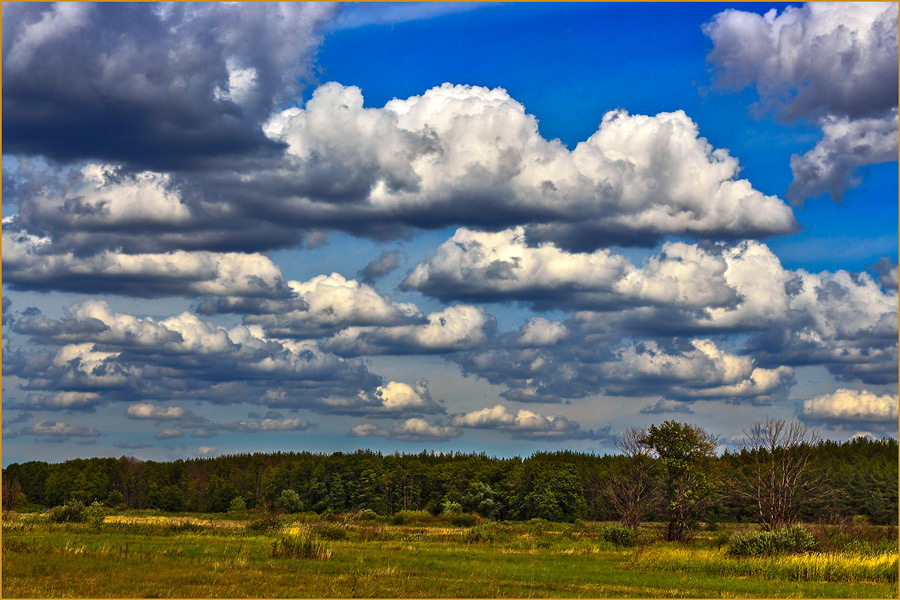 Картинка из сети интернет, спасибо автору.