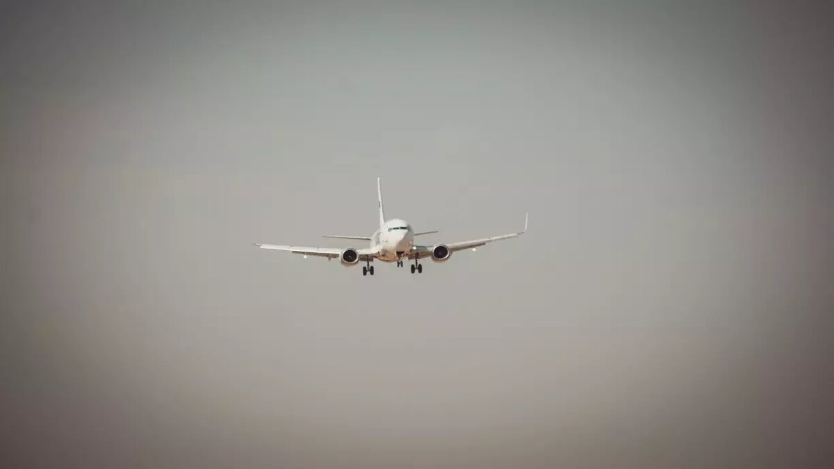     Источник: 1MI