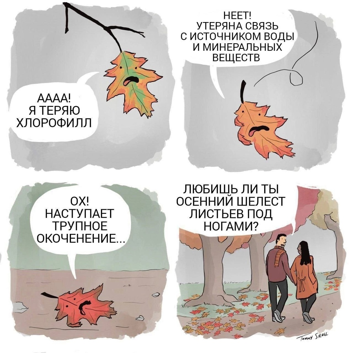 Автор: Tommy Siegel