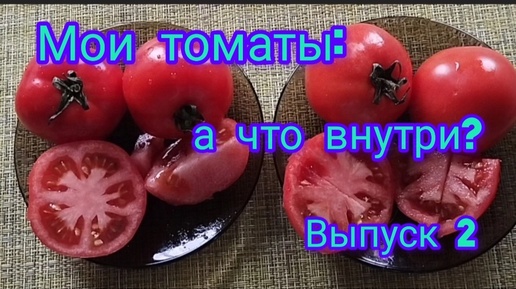 Мои томаты: а что внутри? Выпуск 2 Верочка и Любаша от Партнёра: найти хоть одно отличие!