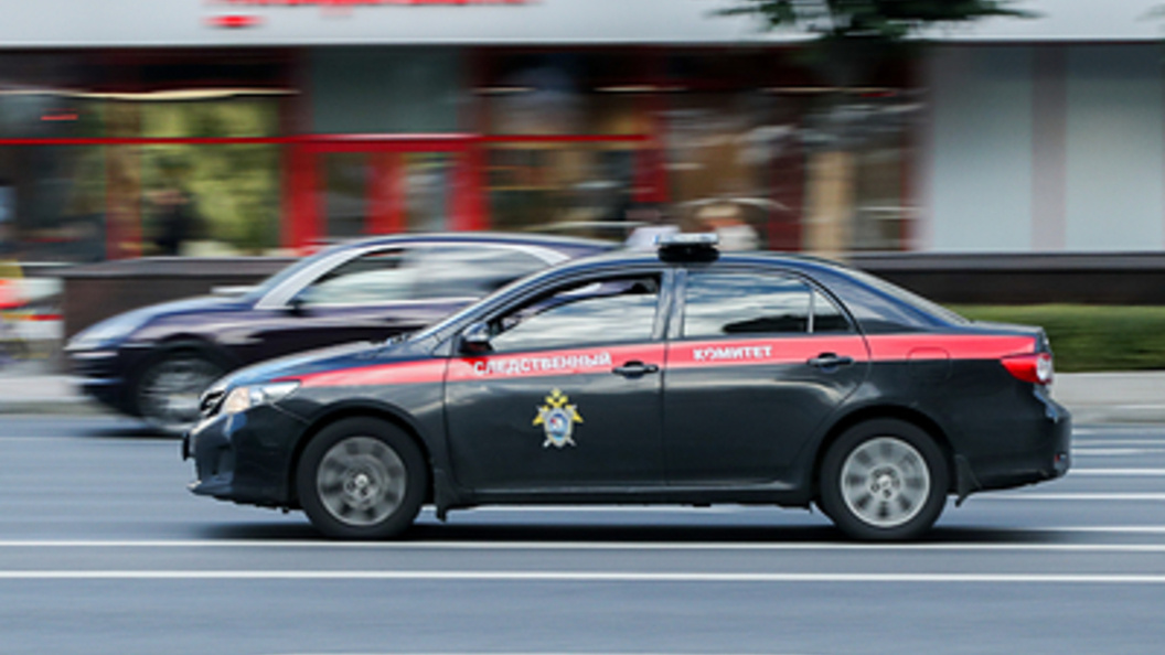    Фото: Bocharov Denis/news.ru/Globallookpress