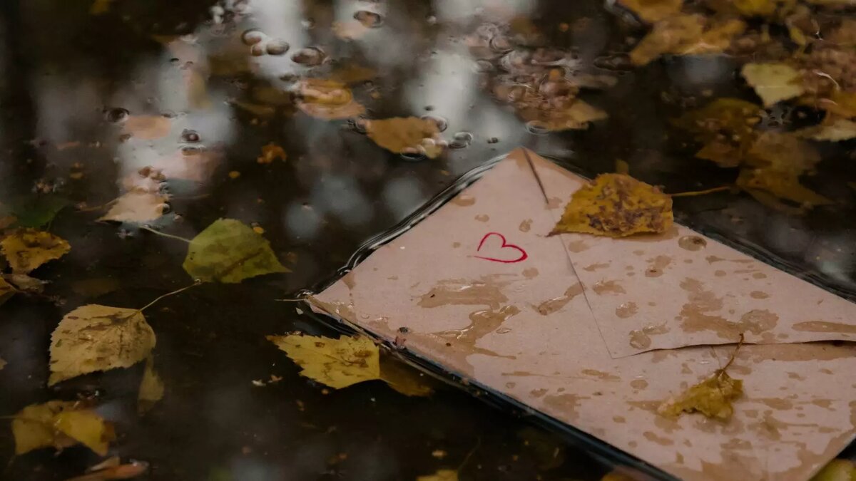     Автор: Unsplash