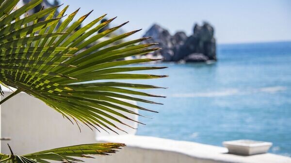    © РИА Новости Крым . Дмитрий Макеев