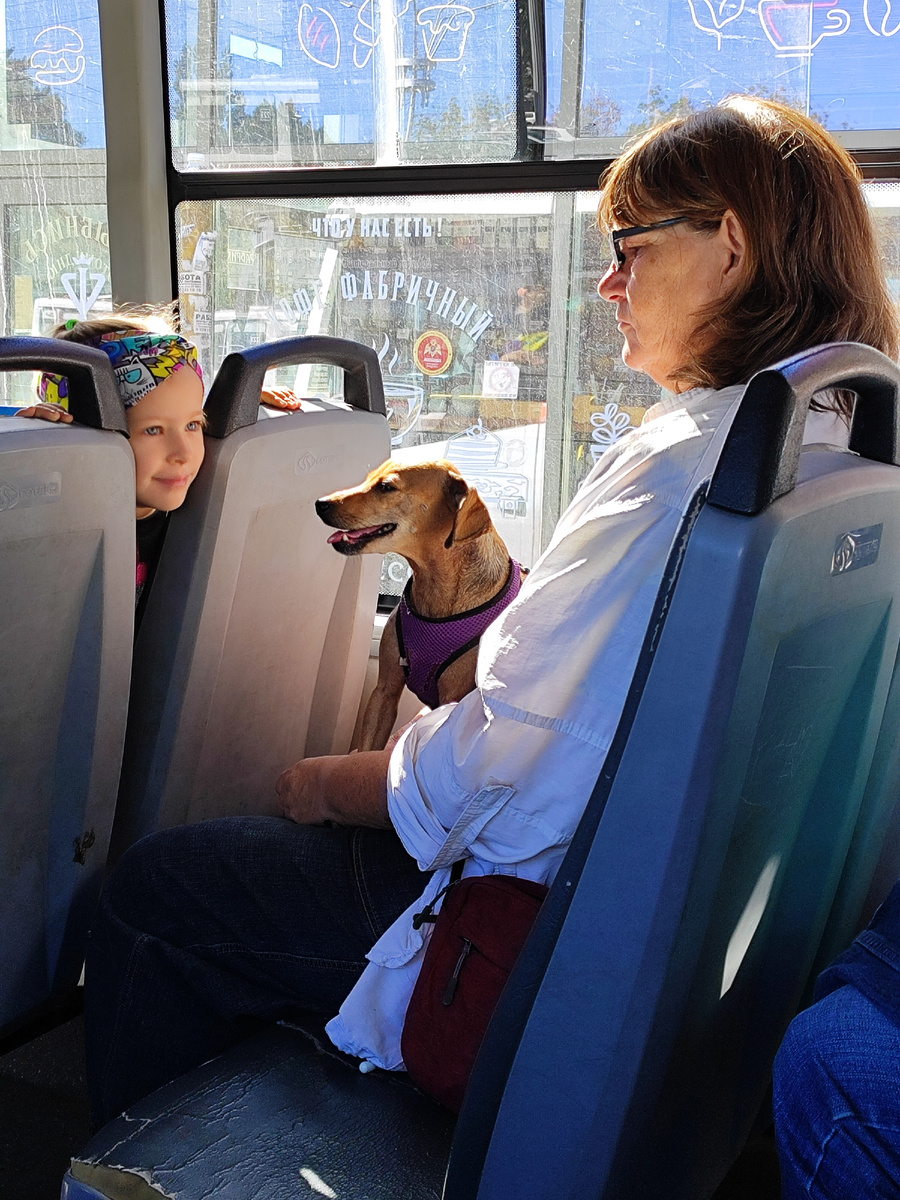 Пассажиры автобуса №1 (октябрь 2024 года)