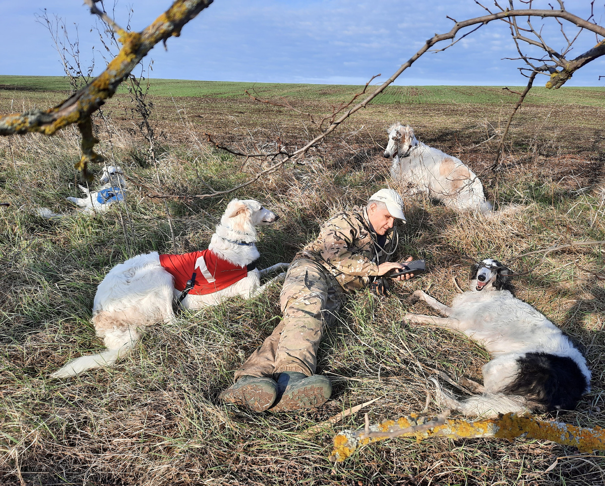 Юг - это край, напоминающий рай)