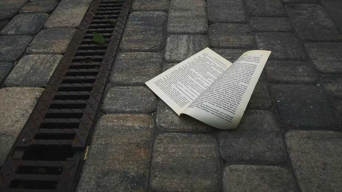     Источник: 1MI