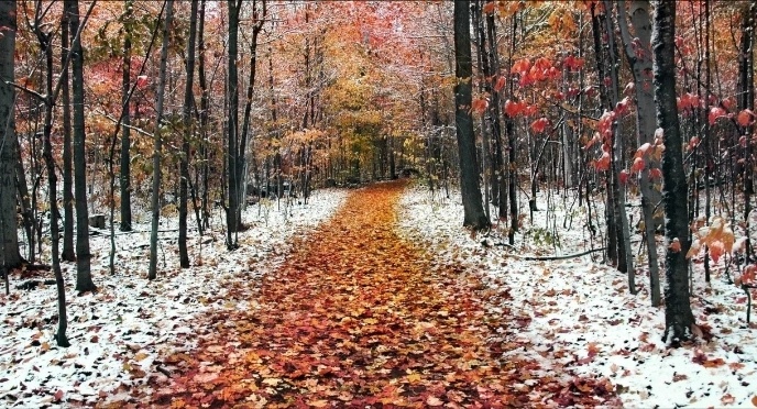 Скоро ноябрь... 