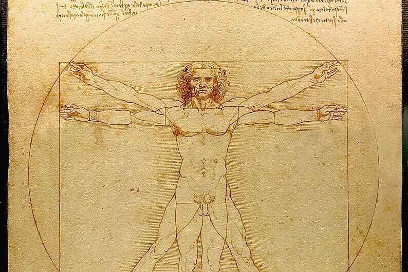     Узнайте секрет золотого сечения Леонардо да Винчи! Вот как его использовать