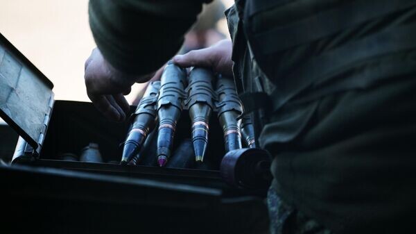    © Sputnik / Евгений Биятов