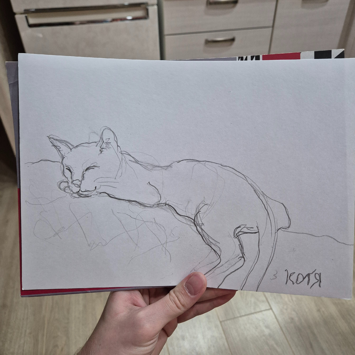 Коте на это все равно))