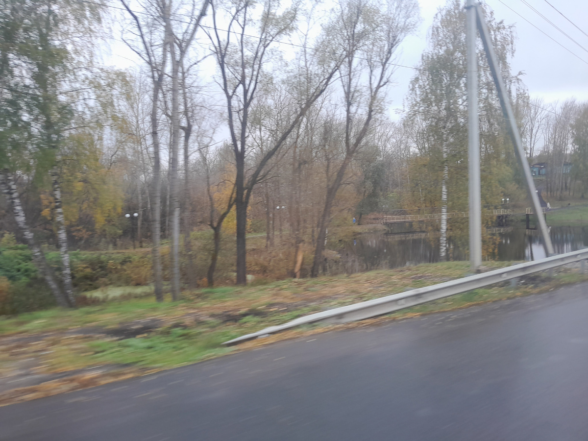 Нижегородская область - это луга, поля и леса (фото автора)