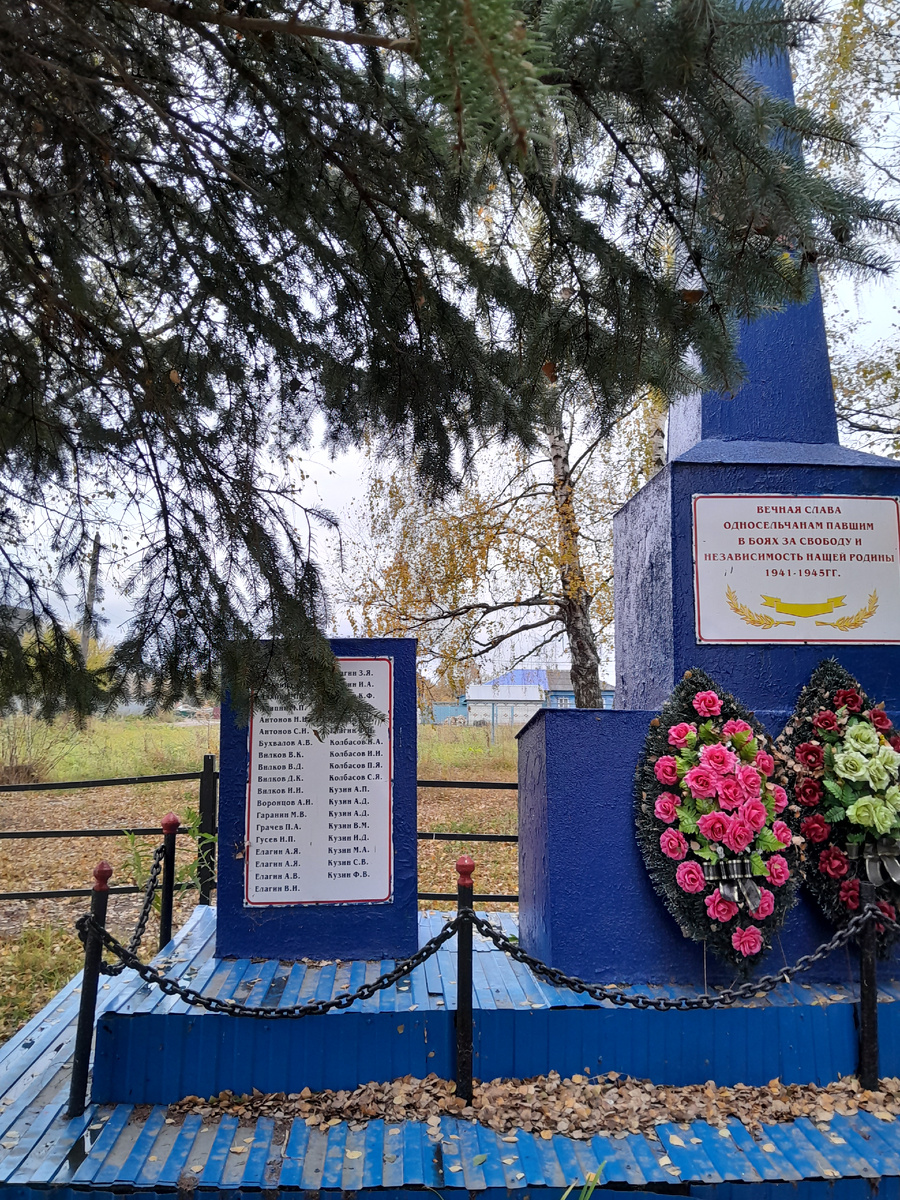 Сельские пейзажи (д.Стечкино Павловского р-на)