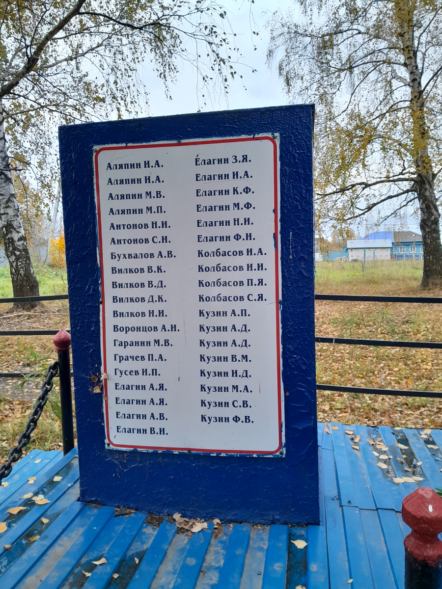 Сельские пейзажи (д.Стечкино Павловского р-на)