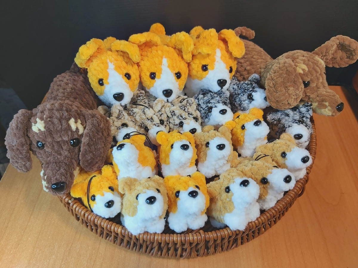 Снова, моя любовь - собачки!