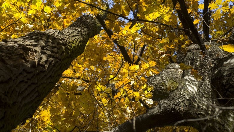 Источник: Freepik