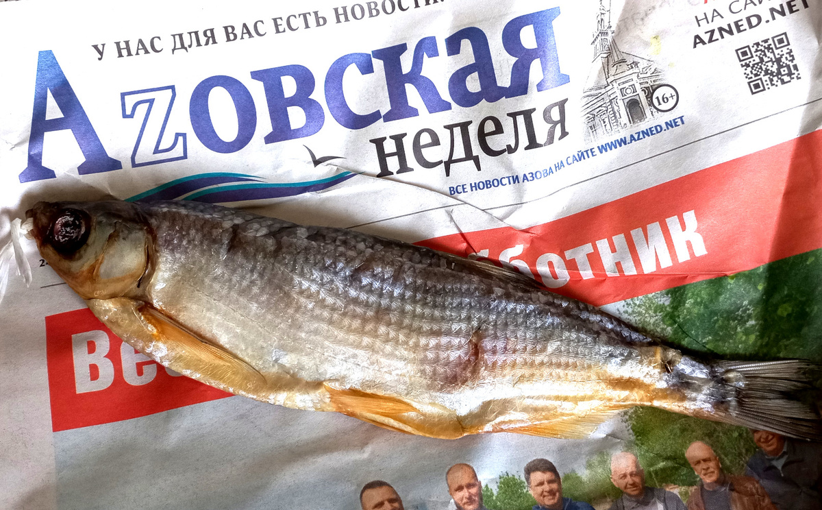 Шамайка. Ростов-на-Дону. 2024