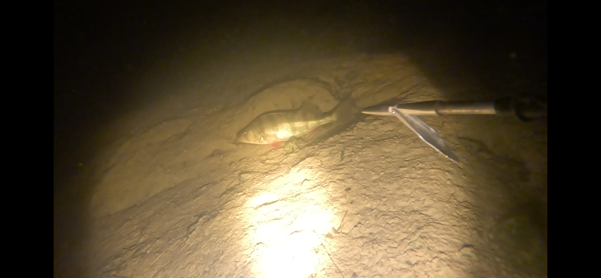 Размер не очень.