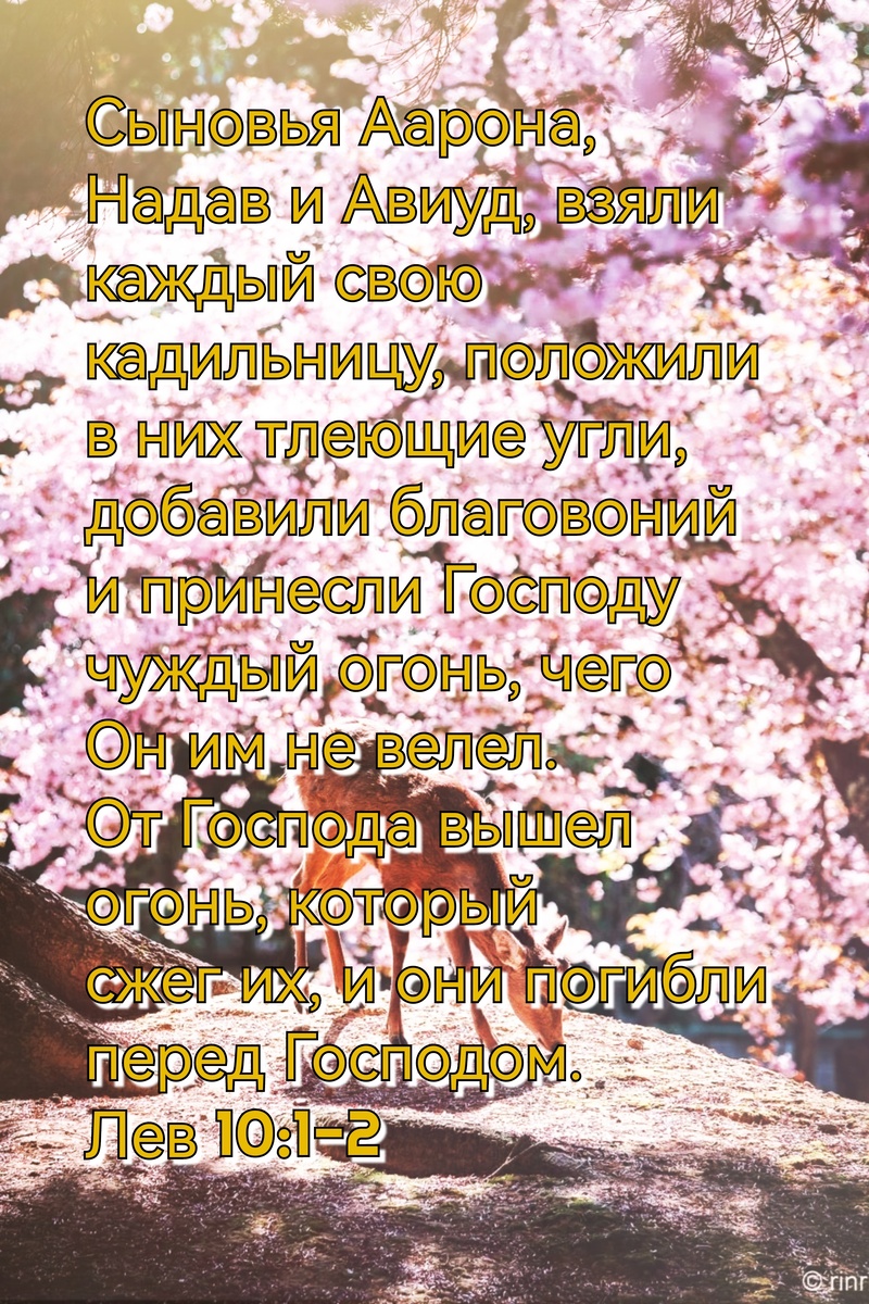 Книга Левит, Глава 10, Стихи 1-2.