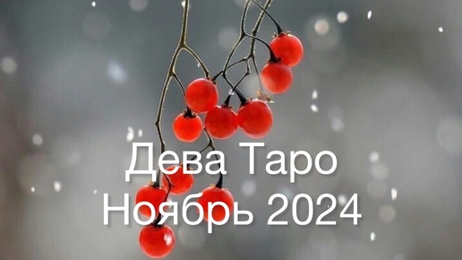 ДЕВА Таро Ноябрь 2024