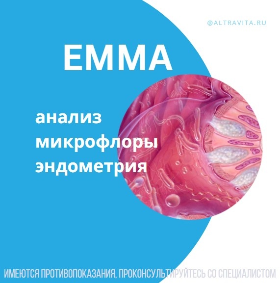 EMMA анализ микрофлоры эндометрия