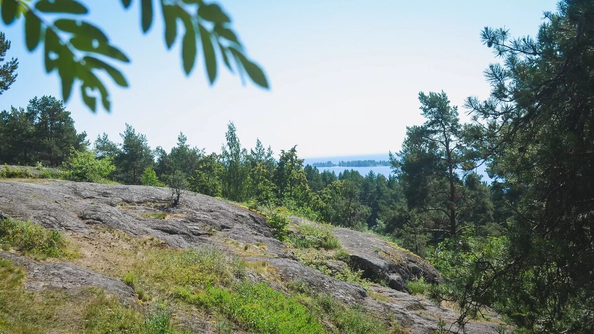     Источник: karelinform.ru