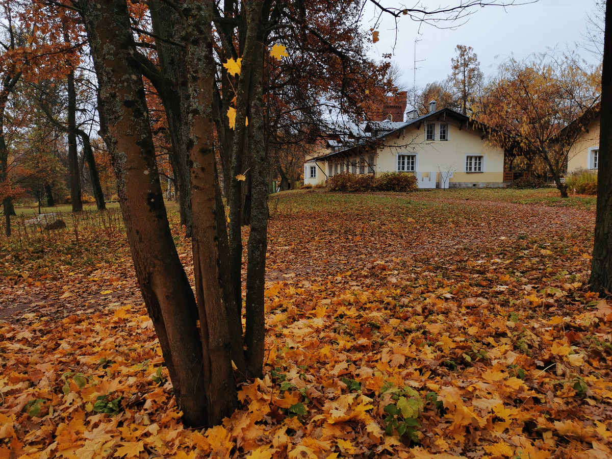 Бывшая дача архитектора Брюллова