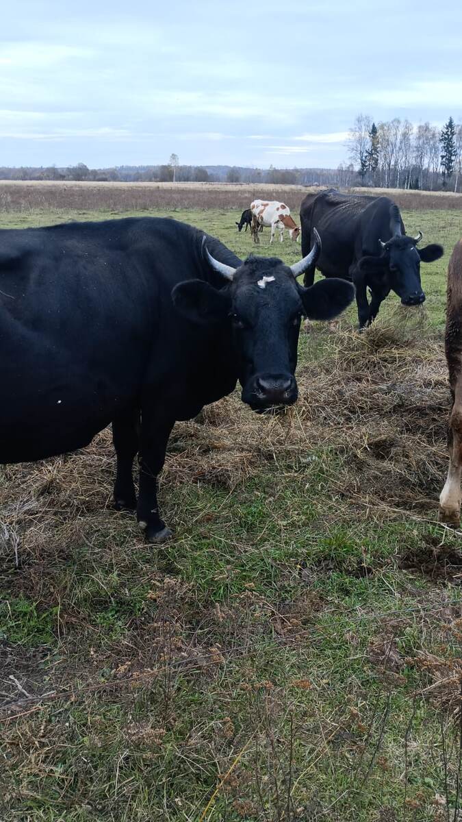 Метка на переднем плане 